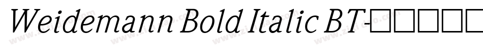 Weidemann Bold Italic BT字体转换